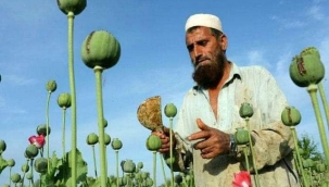 Afganistan… Narko-Devlet'tir... 
