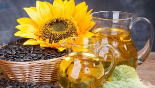 Ayçiçeği üretiminin devamı için üretici 6 lira fiyat bekliyor!