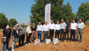 Bursa'da safran üretimi yaygınlaştırılıyor