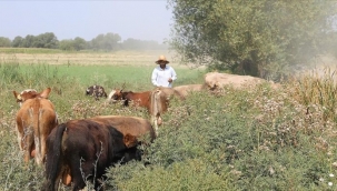 DAR GELİRLİ AİLELER 'GENÇ ÇİFTÇİ PROJESİ' SAYESİNDE KÖYLERİNDE KALDI