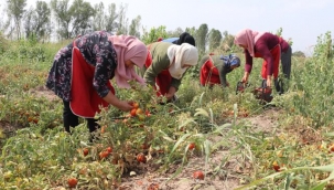 IĞDIRLI KADINLAR, KURDUKLARI KOOPERATİFLE YÖRESEL ÜRÜNLERE DEĞER KATIYOR