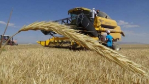 Pandemiye rağmen tarımsal üretim değeri 1 yılda 2 milyar TL arttı