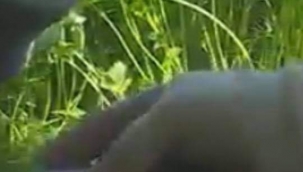 Yeşil eczane; Süreyya Özcanım yazdı... 