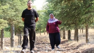 13 Yıl Önce Kendi İmkanlarıyla Diktiği 5 Bin Sedir Fidanı Bugün Köyüne Nefes Oluyor .