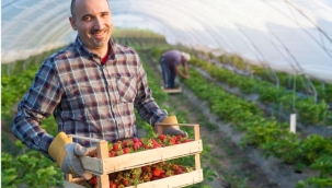 ÇİFTÇİYE YAPILAN GELİR DESTEKLERİNDEN VERGİ ALINMAYACAK