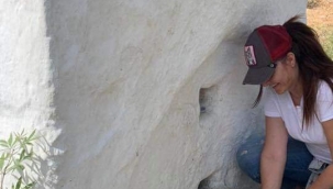 Doğaya geri dönüş ...