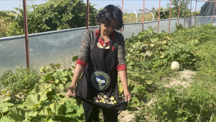 Girişimci Kadın: Havva İnanç 