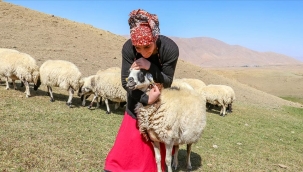 İŞKUR'un desteğiyle hayvancılığa başlayan engellilerden aile bütçesine katkı