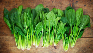 Bilim İnsanları Ispanaktan Elektronik Posta Almayı Başardı