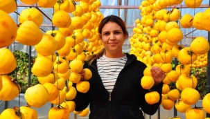 Çöpe atmayıp kuruttuğu cennet hurmasıyla 5 yılda ihracata başladı