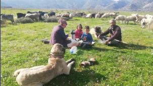Dağların bekçileri ''ÇOBANLAR''