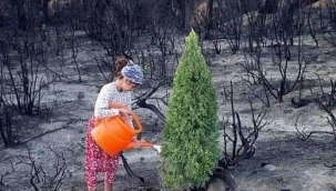 Dünya Meteoroloji Örgütü 20 yıl süre verdi: Yok olacaklar!