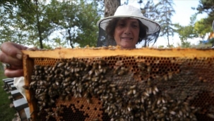 EMEKLİ ÖĞRETMEN PROFESYONEL ARICI OLMAK İÇİN 60'INDA ÜNİVERSİTEYİ KAZANDI