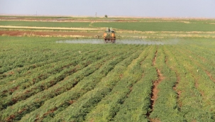 Gürer: SGK'ye kayıtlı çiftçi sayısı 12 yılda yüzde 46 geriledi