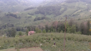 İKLİM KRİZİ VE TARIM