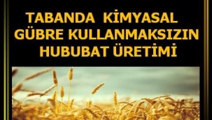 TABANDA KİMYASAL GÜBRE KULLANMAKSIZIN HUBUBAT ÜRETİMİ 