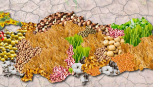 TARIM ARAZİLERİ YABANCILARA SATILIR MI?