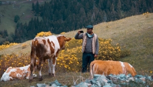 TARIMSAL DESTEKLERDE VERGİ İADESİYLE 2 MİLYON ÇİFTÇİYE YAKLAŞIK 5 MİLYAR LİRA ÖDENMESİ BEKLENİYOR