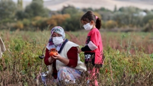 TÜRK KADINLARININ ÜRETTİĞİ EV YAPIMI SALÇALAR AVRUPA YOLUNDA
