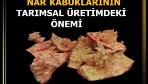 ZAMAN KİMYASAL GÜBRELERE ALTERNATİFLER ÜRETME ZAMANIDIR..