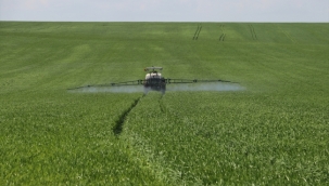 Buğday ve Arpa Gübrelemesi