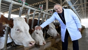 Bursalı üretici çocukluk hayalini 80 yaşında hayata geçirdi. Hayvancılık üzerine çiftlik kurdu