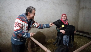 KÖYE YERLEŞEN EMEKLİ ÇİFT, 60 MANDALI MANDIRA SAHİBİ OLDU 