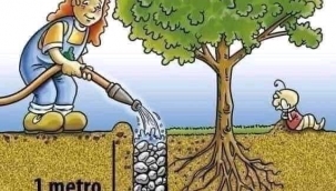 Su tutma kapasitesini arttırmaya yönelik eski bir gelenek