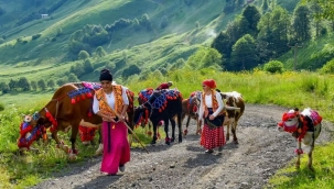 Tarımsal desteklerde gelecek yıl aslan payı hayvancılığın