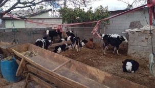 TARIMSAL ÜRETİMİN ENGELLERİ 