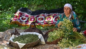 Ürettik, peki ya sonra ne yapacağız?