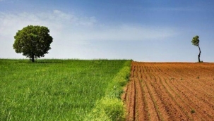 Ziraat mühendisliğinin eski değeri kalmadı, fakülteler boş kaldı