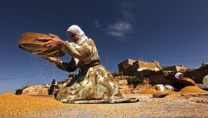 5 Aralık Dünya Toprak Günü