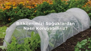 Basit birkaç malzeme ile mini seralar yapabilirsiniz... 