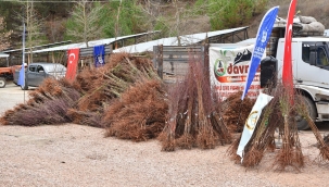 Dağ yöresi meyvecilikle kalkınacak