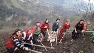 DÖNGÜSEL TARIM VE ÖNEMİ