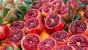 Dünyanın en iyi narı Zivzik Köyünde yetişir 