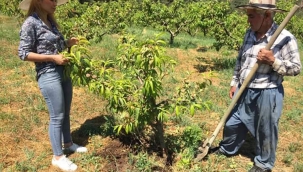 FİDAN DİKİMİNDE DİKKAT EDİLMESİ GEREKENLER