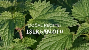 SİZE BİR SIR VEREYİM Mİ ? 