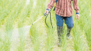 Tarım ilacı davası AYM'ye taşındı