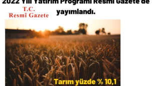 2022 Yılı Yatırım Programı Resmi Gazete'de yayımlandı