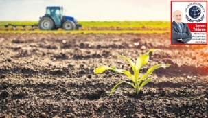 8 milyarı doyurmak için sürdürülebilir tarım