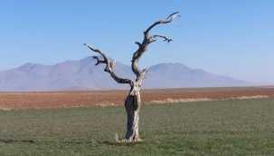 "Bir insan ömrünü neye vermeli?"