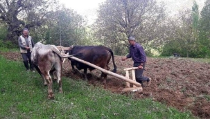 BU BİR YAŞAM MANİFESTOSUDUR