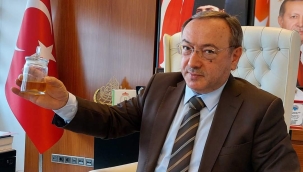 ÇAY TOHUMUNDAN YAĞ ÜRETİLDİ; ZEYTİNYAĞI İLE EŞDEĞER 