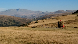 Çiftçiyi böyle dolandırıyorlar!