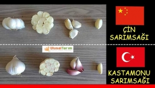 ÇİNLİ DEĞİL TAŞKÖPRÜ ÇİFTÇİSİ KAZANSIN!