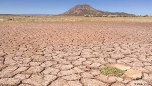 ELİMİZE SAĞLIK ÇOK GÜZEL OLMUŞ! 