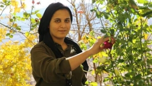 GABAR DAĞI ETEKLERİNDE ÇİÇEK YETİŞTİRİLİYOR 