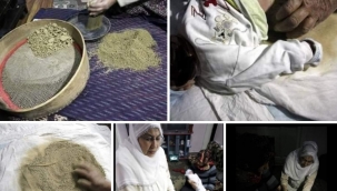 HÖLLÜK NEDİR ? HİÇ DUYDUNUZ MU ?